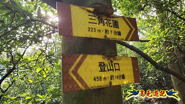 楊梅福人步道-莊迷糊-保甲古道-東森山林步道8形 (7).jpg
