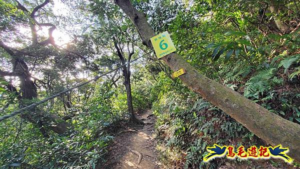 楊梅福人步道-莊迷糊-保甲古道-東森山林步道8形 (9).jpg