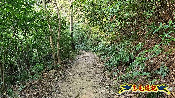 楊梅福人步道-莊迷糊-保甲古道-東森山林步道8形 (12).jpg 楊梅福人步道-莊迷糊-保甲古道-東森山林步道8形 (12).jpg