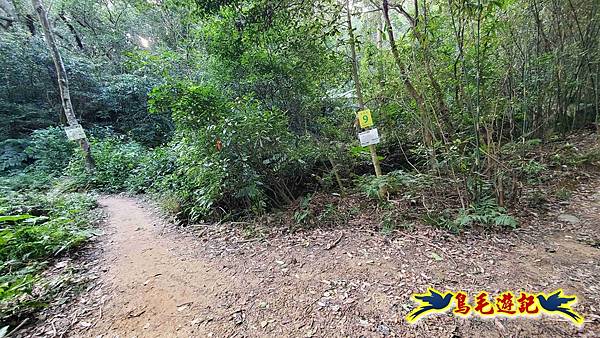楊梅福人步道-莊迷糊-保甲古道-東森山林步道8形 (13).jpg