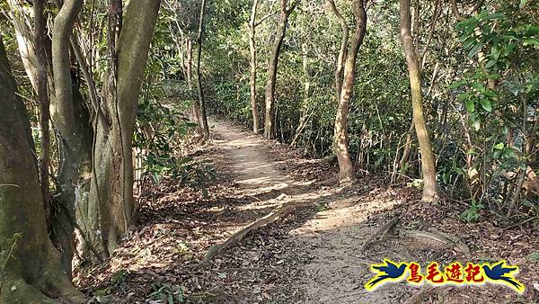 楊梅福人步道-莊迷糊-保甲古道-東森山林步道8形 (16).jpg 楊梅福人步道-莊迷糊-保甲古道-東森山林步道8形 (16).jpg