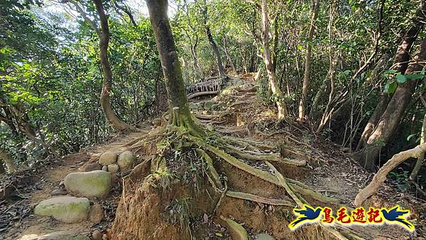 楊梅福人步道-莊迷糊-保甲古道-東森山林步道8形 (17).jpg