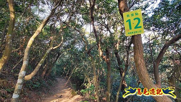 楊梅福人步道-莊迷糊-保甲古道-東森山林步道8形 (21).jpg