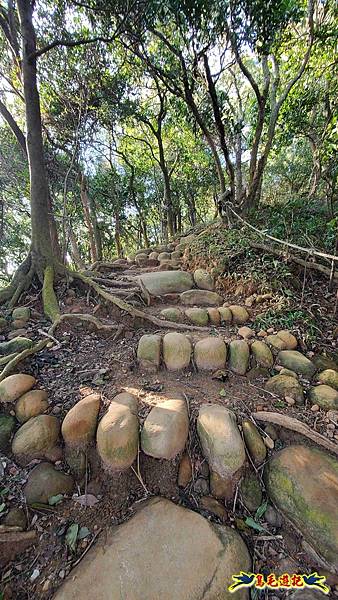 楊梅福人步道-莊迷糊-保甲古道-東森山林步道8形 (19).jpg