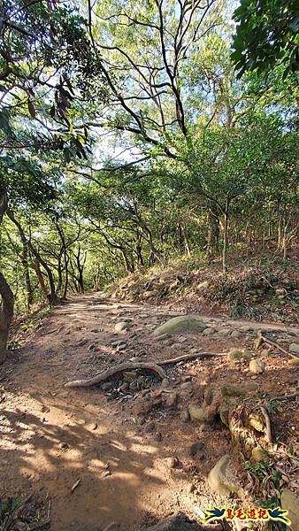 楊梅福人步道-莊迷糊-保甲古道-東森山林步道8形 (20).jpg 楊梅福人步道-莊迷糊-保甲古道-東森山林步道8形 (20).jpg