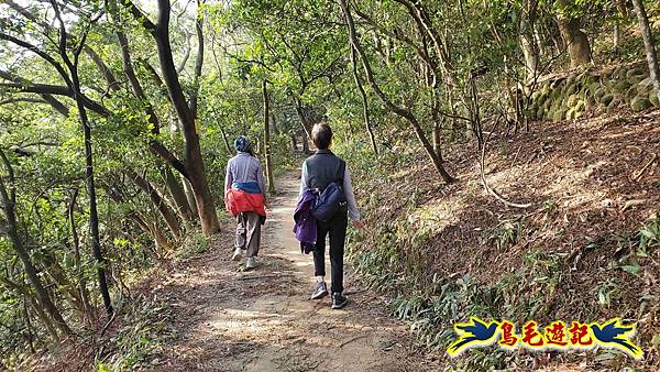 楊梅福人步道-莊迷糊-保甲古道-東森山林步道8形 (24).jpg 楊梅福人步道-莊迷糊-保甲古道-東森山林步道8形 (24).jpg