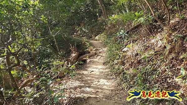 楊梅福人步道-莊迷糊-保甲古道-東森山林步道8形 (29).jpg