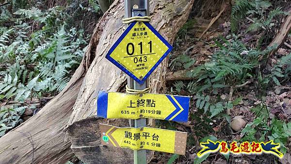 楊梅福人步道-莊迷糊-保甲古道-東森山林步道8形 (27).jpg