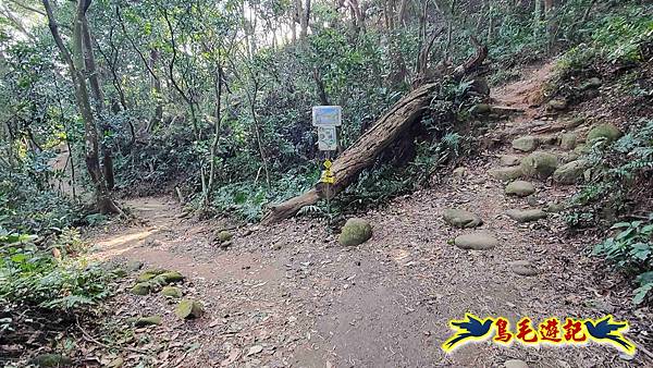 楊梅福人步道-莊迷糊-保甲古道-東森山林步道8形 (25).jpg