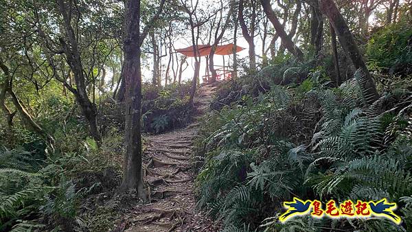 楊梅福人步道-莊迷糊-保甲古道-東森山林步道8形 (32).jpg 楊梅福人步道-莊迷糊-保甲古道-東森山林步道8形 (32).jpg