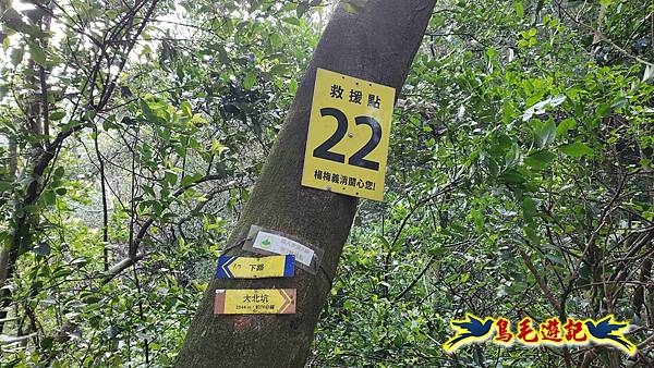 楊梅福人步道-莊迷糊-保甲古道-東森山林步道8形 (39).jpg