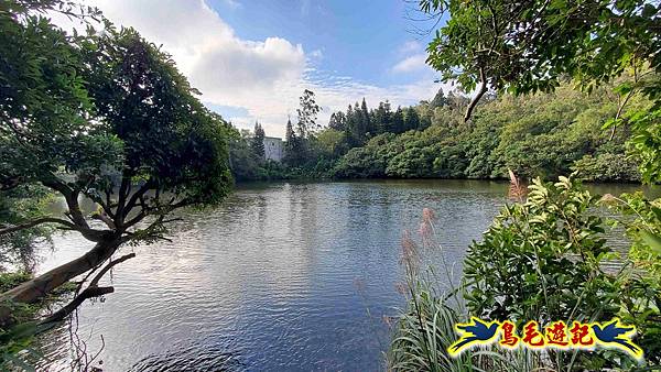 楊梅福人步道-莊迷糊-保甲古道-東森山林步道8形 (45).jpg