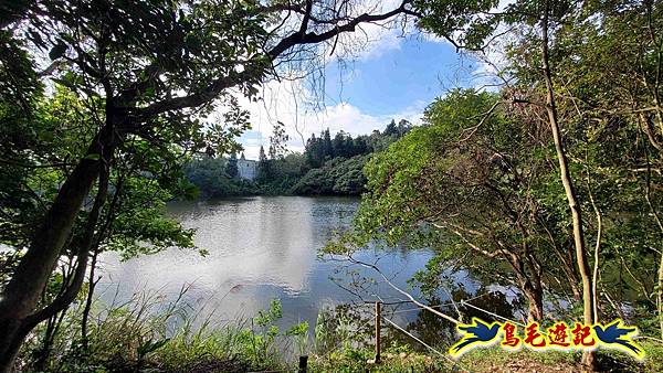 楊梅福人步道-莊迷糊-保甲古道-東森山林步道8形 (43).jpg