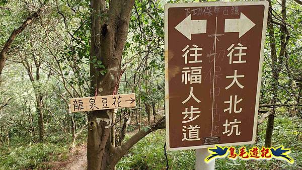 楊梅福人步道-莊迷糊-保甲古道-東森山林步道8形 (52).jpg 楊梅福人步道-莊迷糊-保甲古道-東森山林步道8形 (52).jpg