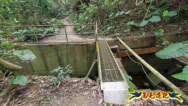 楊梅福人步道-莊迷糊-保甲古道-東森山林步道8形 (49).jpg