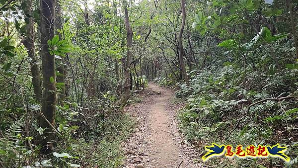 楊梅福人步道-莊迷糊-保甲古道-東森山林步道8形 (48).jpg 楊梅福人步道-莊迷糊-保甲古道-東森山林步道8形 (48).jpg