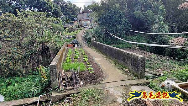 楊梅福人步道-莊迷糊-保甲古道-東森山林步道8形 (56).jpg 楊梅福人步道-莊迷糊-保甲古道-東森山林步道8形 (56).jpg