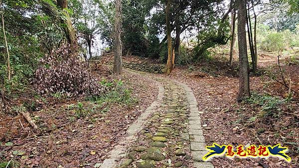 楊梅福人步道-莊迷糊-保甲古道-東森山林步道8形 (66).jpg 楊梅福人步道-莊迷糊-保甲古道-東森山林步道8形 (66).jpg