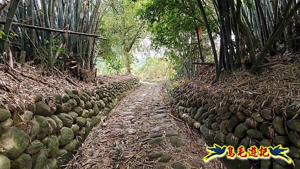 楊梅福人步道-莊迷糊-保甲古道-東森山林步道8形 (62).jpg 楊梅福人步道-莊迷糊-保甲古道-東森山林步道8形 (62).jpg