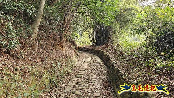 楊梅福人步道-莊迷糊-保甲古道-東森山林步道8形 (64).jpg 楊梅福人步道-莊迷糊-保甲古道-東森山林步道8形 (64).jpg