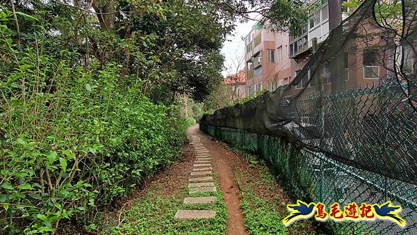 楊梅福人步道-莊迷糊-保甲古道-東森山林步道8形 (70).jpg 楊梅福人步道-莊迷糊-保甲古道-東森山林步道8形 (70).jpg