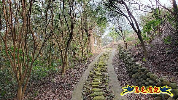 楊梅福人步道-莊迷糊-保甲古道-東森山林步道8形 (67).jpg