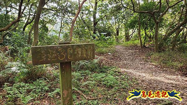 楊梅福人步道-莊迷糊-保甲古道-東森山林步道8形 (79).jpg