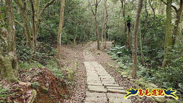 楊梅福人步道-莊迷糊-保甲古道-東森山林步道8形 (75).jpg