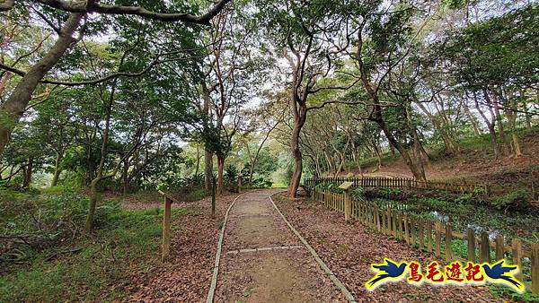 楊梅福人步道-莊迷糊-保甲古道-東森山林步道8形 (78).jpg 楊梅福人步道-莊迷糊-保甲古道-東森山林步道8形 (78).jpg