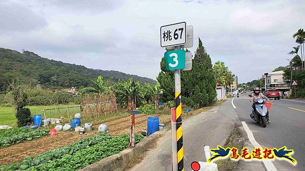 楊梅福人步道-莊迷糊-保甲古道-東森山林步道8形 (86).jpg 楊梅福人步道-莊迷糊-保甲古道-東森山林步道8形 (86).jpg