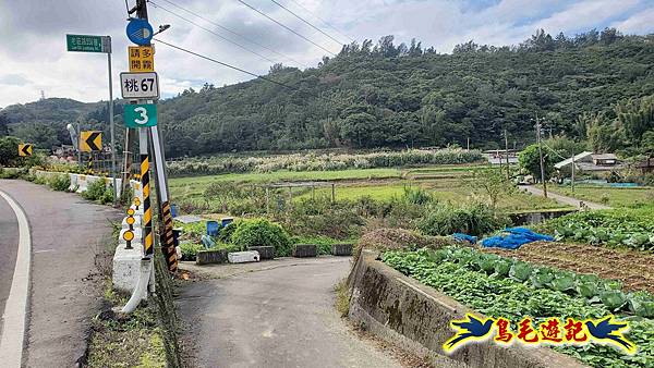 楊梅福人步道-莊迷糊-保甲古道-東森山林步道8形 (87).jpg