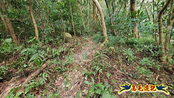 楊梅福人步道-莊迷糊-保甲古道-東森山林步道8形 (92).jpg 楊梅福人步道-莊迷糊-保甲古道-東森山林步道8形 (92).jpg