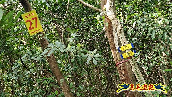 楊梅福人步道-莊迷糊-保甲古道-東森山林步道8形 (93).jpg