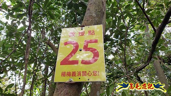 楊梅福人步道-莊迷糊-保甲古道-東森山林步道8形 (97).jpg 楊梅福人步道-莊迷糊-保甲古道-東森山林步道8形 (97).jpg