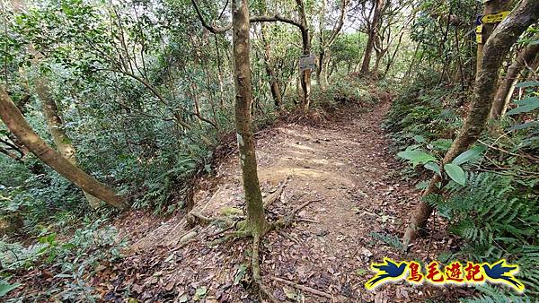 楊梅福人步道-莊迷糊-保甲古道-東森山林步道8形 (95).jpg