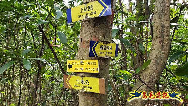 楊梅福人步道-莊迷糊-保甲古道-東森山林步道8形 (96).jpg