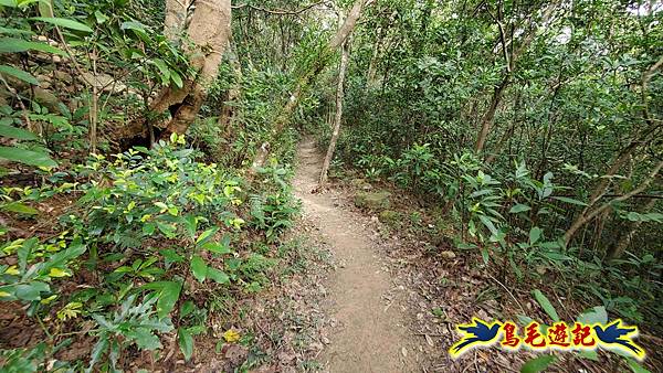 楊梅福人步道-莊迷糊-保甲古道-東森山林步道8形 (94).jpg 楊梅福人步道-莊迷糊-保甲古道-東森山林步道8形 (94).jpg