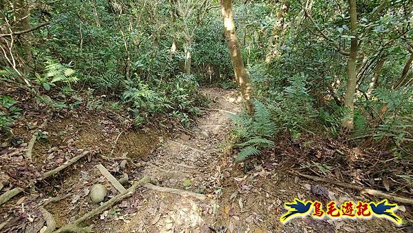 楊梅福人步道-莊迷糊-保甲古道-東森山林步道8形 (99).jpg