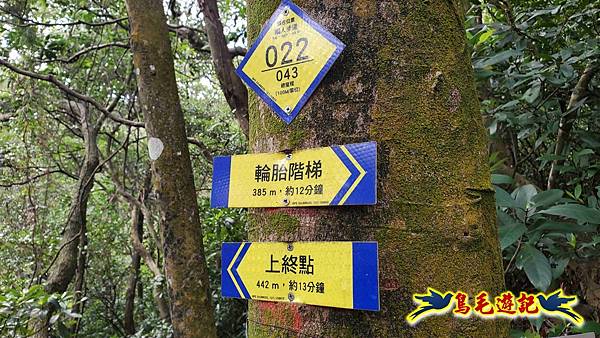 楊梅福人步道-莊迷糊-保甲古道-東森山林步道8形 (100).jpg