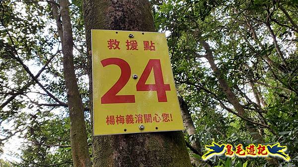 楊梅福人步道-莊迷糊-保甲古道-東森山林步道8形 (101).jpg 楊梅福人步道-莊迷糊-保甲古道-東森山林步道8形 (101).jpg