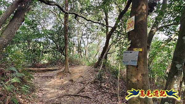 楊梅福人步道-莊迷糊-保甲古道-東森山林步道8形 (103).jpg