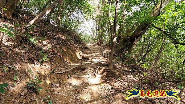 楊梅福人步道-莊迷糊-保甲古道-東森山林步道8形 (102).jpg 楊梅福人步道-莊迷糊-保甲古道-東森山林步道8形 (102).jpg