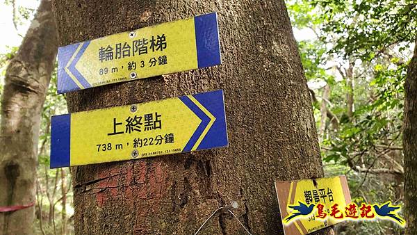 楊梅福人步道-莊迷糊-保甲古道-東森山林步道8形 (105).jpg