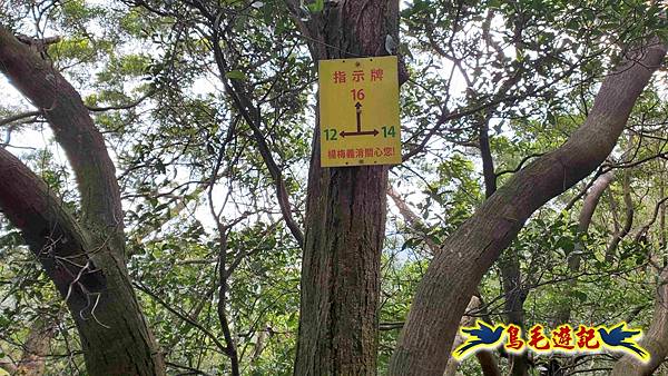 楊梅福人步道-莊迷糊-保甲古道-東森山林步道8形 (111).jpg