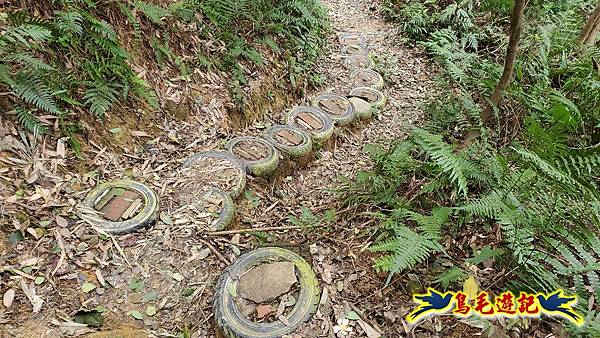 楊梅福人步道-莊迷糊-保甲古道-東森山林步道8形 (107).jpg