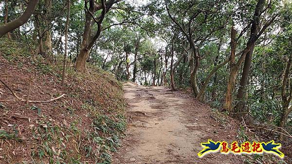 楊梅福人步道-莊迷糊-保甲古道-東森山林步道8形 (113).jpg