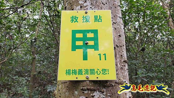 楊梅福人步道-莊迷糊-保甲古道-東森山林步道8形 (115).jpg