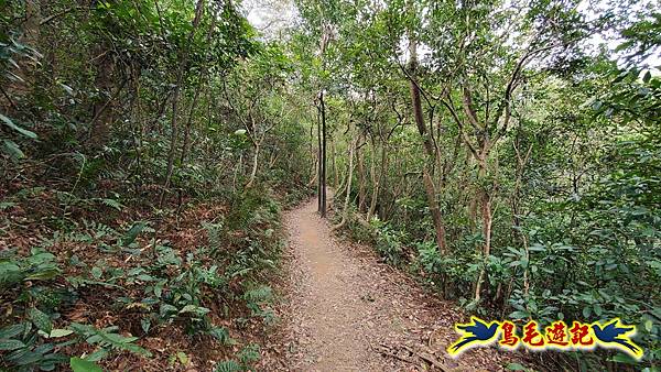 楊梅福人步道-莊迷糊-保甲古道-東森山林步道8形 (114).jpg 楊梅福人步道-莊迷糊-保甲古道-東森山林步道8形 (114).jpg