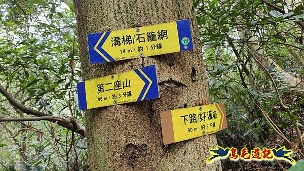 楊梅福人步道-莊迷糊-保甲古道-東森山林步道8形 (117).jpg