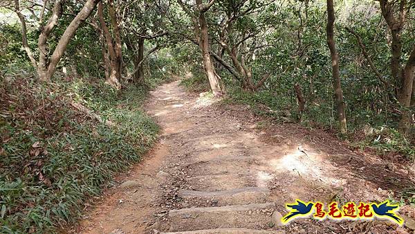 楊梅福人步道-莊迷糊-保甲古道-東森山林步道8形 (121).jpg